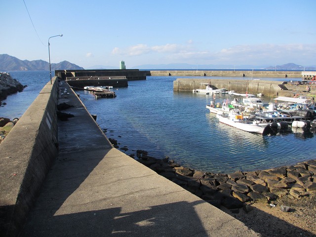広島県畑漁港の釣りポイント